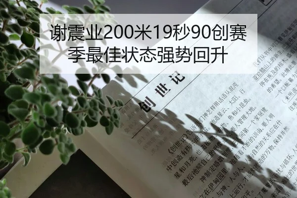 谢震业200米19秒90创赛季最佳状态强势回升